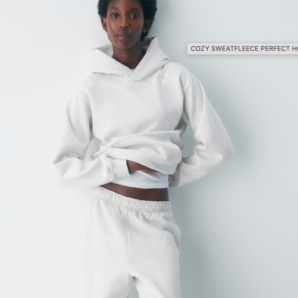 Aritzia Cozy Sweatfleece Hoodie in Light Gray